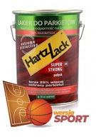 HartzLack Super Strong HS 5L Sport System Gloss