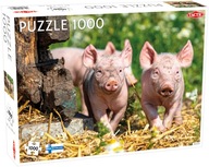 Taktické PUZZLE Prasiatka 1000 dielikov