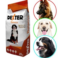 SUCHÉ KRMIVO PRE PSA s vitamínmi DEXTER BALANCE 20 kg