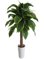 Umelé kvety Calathea v kvetináči s priemerom 100 cm