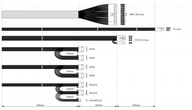 Akyga Basic AK-B1-600 zdroj 600W Passive 120