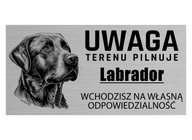 Nápis Pozor Pes SLEDUJE OBLASŤ Labrador