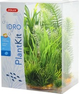 ZOLUX SET 6 RASTLÍN DO AKVÁRIOVÉHO PLANTKIT IDRO N3