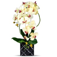 UMELÉ ORCHIDEY ORCHIDEJE UMELÉ KVETY K052