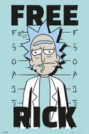 Rick and Morty Free Rick - plagát 61x91,5 cm