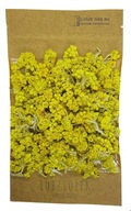 KOCANKA Helichrysum kvet 200g LUBZIOŁEK