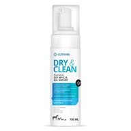 DRY&CLEAN PENA NA SUCHÉ ČISTENIE 150ML