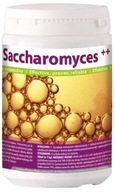 HapLabs kvasinky Saccharomyces s peľom vitamínu B 700g