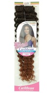 Falki Afro Curls Synthetic Ombre T1B/30