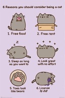 Nástenný plagát Pusheen Reasons to be a Cat 61x91,5 cm pre dievča