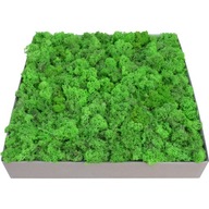 Odrezky machu Apple Green, 3 kg lepenky