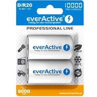 EVERACTIVE NI-MH D/R20 BATÉRIE 10000 mAh