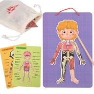 Tooky Toy Puzzle Montessori Magnetic Science Human Anatomy 78 ks.