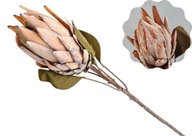 PROTEA kráľovské umelé striebro Prometheus kvetinový artičok XXL 70 cm