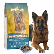 Divinus Performance suché krmivo pre aktívnych psov 20kg, príchuť kuracia