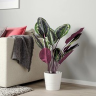 IKEA CALATHEA MEDALION umelá rastlina 100 cm