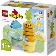 LEGO Duplo 10981 Pestovanie mrkvy