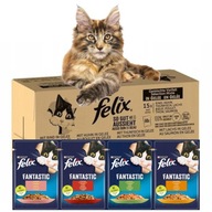 Felix Fantastický mix príchutí 120x85g