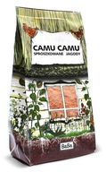 CAMU CAMU práškové bobule - 100 g BaBa 0,1 kg