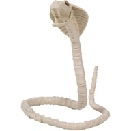 HALLOWEENSKÉ DEKORÁCIE KOBRA SNAKE SKELETON