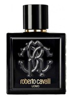 ROBERTO CAVALLI UOMO EDT 100 ml FLAKON