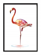 OBRAZOVÝ PLAGÁT V RÁME 53x73 cm Flamingo P557