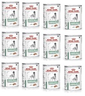 Royal Canin Diabetic Canine Canine 12 x 410 g