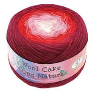 Opus Natura Wool Cake priadza 50022 ombre vlna