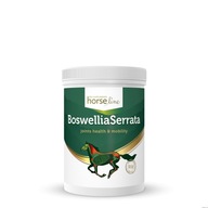 HorseLine Boswellia 900g boswellia pokušenie pre kone