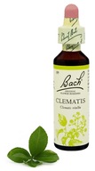 9. CLEMATIS / Climbing Clematis 20 ml Nelson Bach