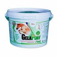 Orling GelaPony Fast 600 g