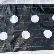 Agrot tkanina, veľké OTVORY, 20 cm, pre sadenice 1,1 x 5 m