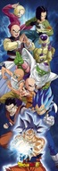 Dragon Ball Super - plagát 53x158 cm