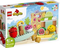 LEGO DUPLO BLOKY 10983 BIO TRH