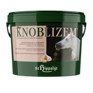 Cesnak ST.HIPPOLYT Knoblizem 3kg granule