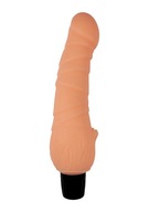 NUDE VIBRATOR VEĽKÝ PENIS KYBERSKINOVÉ VIBRÁCIE