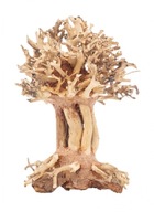 PROGROW Bonsai Strom BT7XS 10x10x15cm stromček