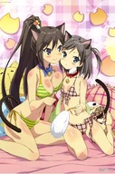 Plagát Hentai Ouji to Warawanai Neko hotwn_055 A1+