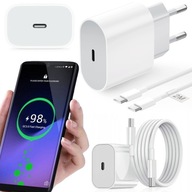 RÝCHLA NABÍJAČKA PRE SAMSUNG GALAXY CUB 20W + 2M KÁBEL / USB-C - USB-C