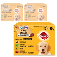 PEDIGREE JUNIOR VÝBER PRÍCHUTÍ V ŽELOVOM MOKROM KRMIVO PRE PSA 36x100g