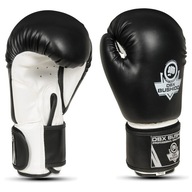 DBX BUSHIDO TRÉNINGOVÉ BOXERSKÉ RUKAVICE 10 OZ