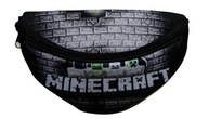 NÁSTENNÁ TAŠKA MINECRAFT, VZOR MC2T