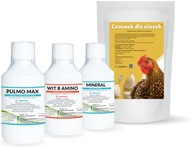 Vitamíny pre nosnice SET 4 produktov Cesnak