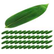 Bamboo Leaf Sushi Mat Hawaiian Decorations taniere