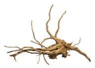 Red Moor Root - 1 kg