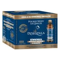 DZIDZILLA LIEČIVÁ VODA NA ROVNOVÁHU 12x330ML