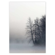 Plagáty 50x70 Misty Forest Winter