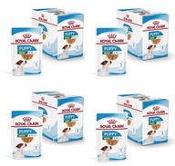 Royal Canin Mini Puppy Junior Puppies 48x85g