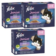 PURINA Felix JUNIOR mokré krmivo pre mačiatka, mix príchutí 36x85g