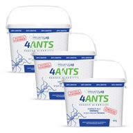 PROFESSIONAL ANTS 1,8kg PROMO 4Mravce